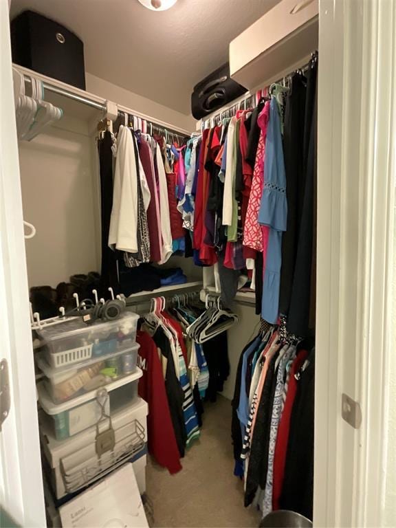 10201 Pinckney Ct, Oklahoma City, OK 73162 - walk in closet with carpet