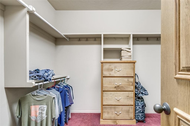 1308 River Birch Dr, Yukon, OK 73099 - spacious closet with carpet flooring