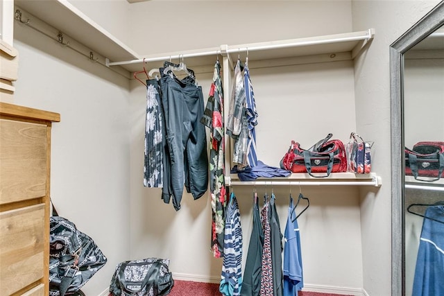 1308 River Birch Dr, Yukon, OK 73099 - view of walk in closet