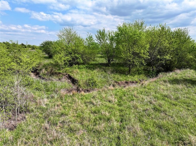 17 Turnbull Rd, Caddo, OK 74729 - photo 16