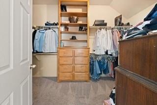 17009 Wales Green Ave, Edmond, OK 73012 - spacious closet with light carpet
