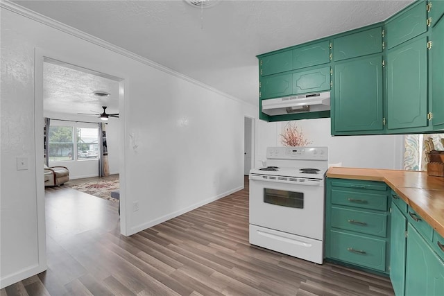 615 N Lowe, Hobart, OK 73651 - kitchen with white electric range, under cabinet range hood, dark wood finished floors, crown molding, and a ceiling fan