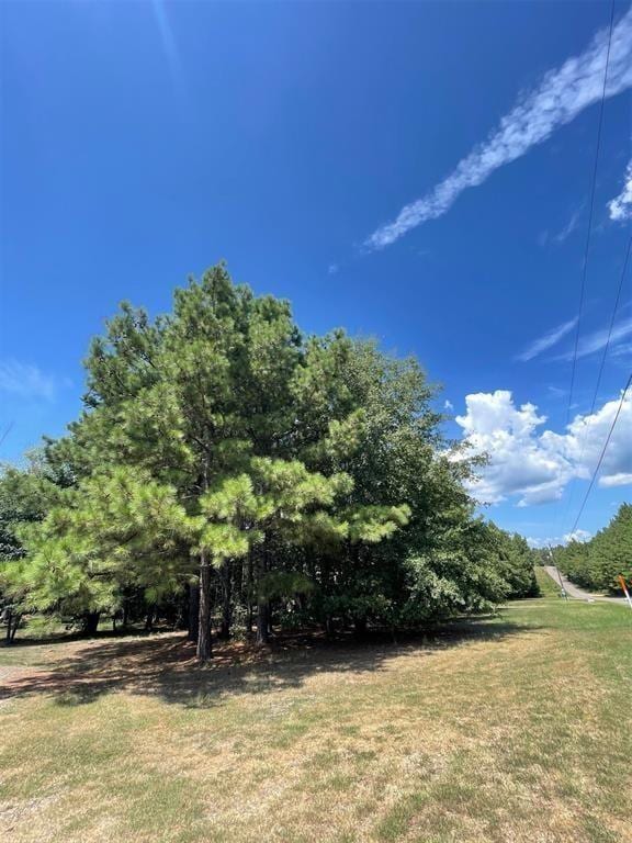 609 Canoe Rd, Broken Bow, OK 74728 - photo 37