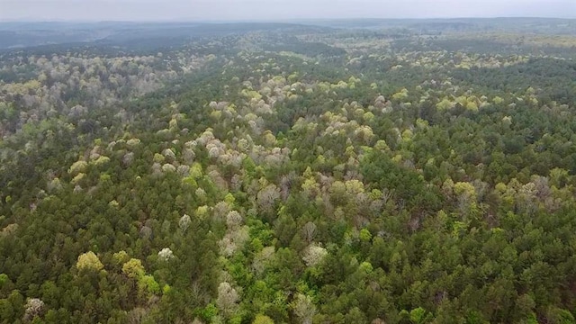 40 Trout Creek Rd, Watson, OK 74963 - photo 2