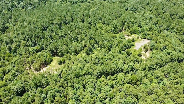 40 Trout Creek Rd, Watson, OK 74963 - photo 5