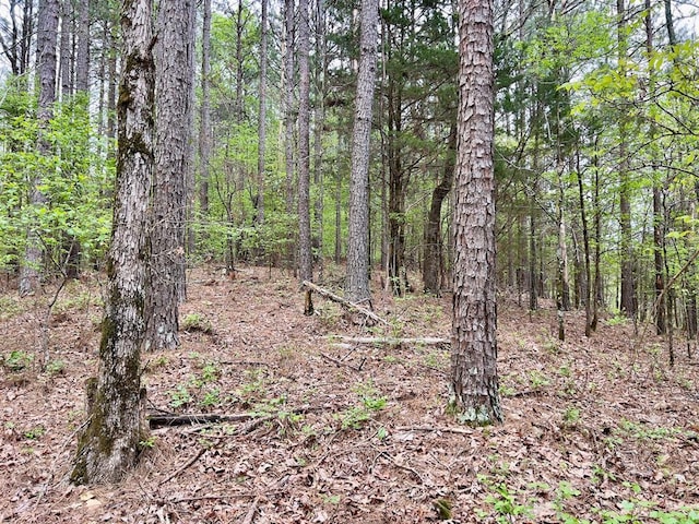 40 Trout Creek Rd, Watson, OK 74963 - photo 8