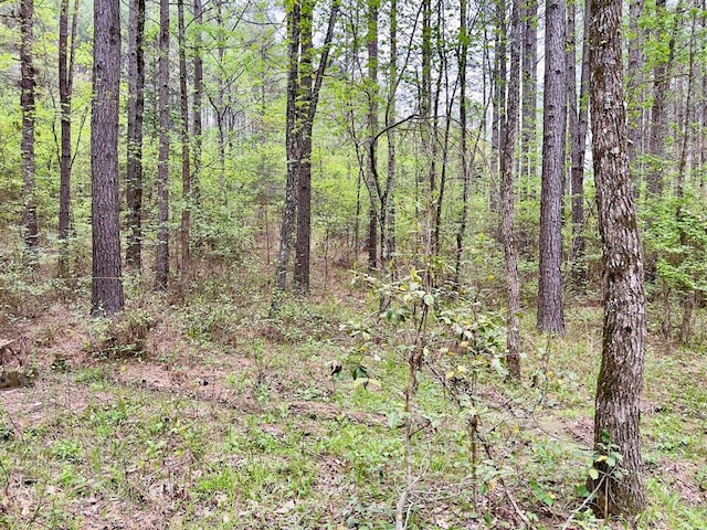 40 Trout Creek Rd, Watson, OK 74963 - photo 10