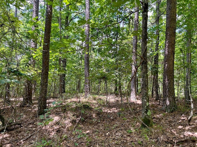 40 Trout Creek Rd, Watson, OK 74963 - photo 13