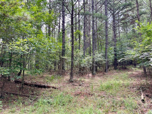 40 Trout Creek Rd, Watson, OK 74963 - photo 15