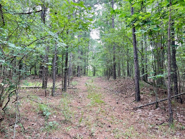 40 Trout Creek Rd, Watson, OK 74963 - photo 16