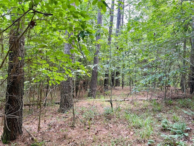 40 Trout Creek Rd, Watson, OK 74963 - photo 25