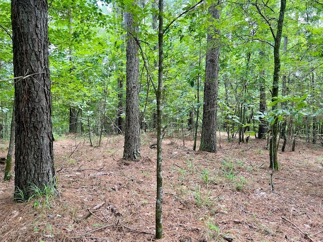40 Trout Creek Rd, Watson, OK 74963 - photo 26
