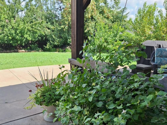 19605 Talavera Ln, Edmond, OK 73012 - photo 28