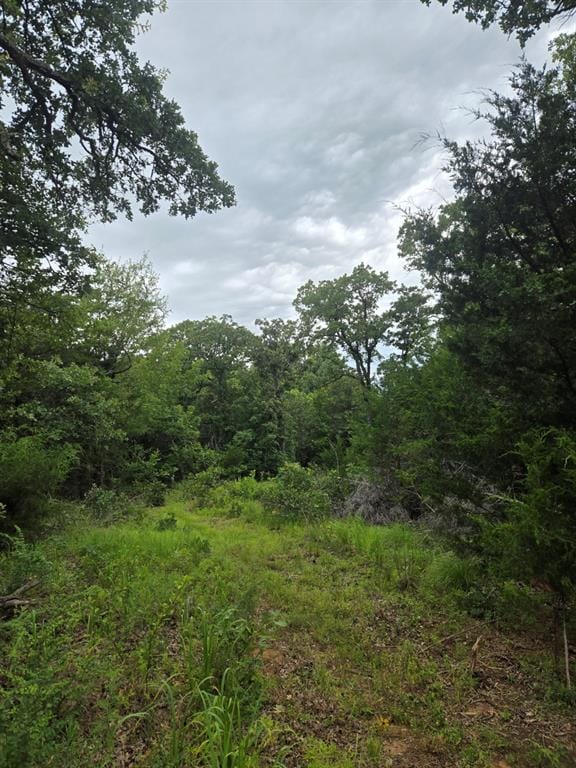 100711 S Stonecrest Cir, Wellston, OK 74881 - photo 1