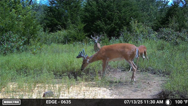 0001 S 310th Rd, Morris, OK 74437 - photo 4