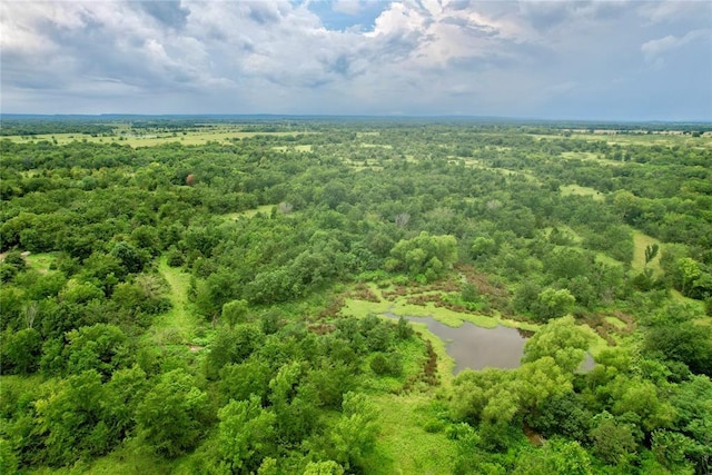 0001 S 310th Rd, Morris, OK 74437 - photo 15