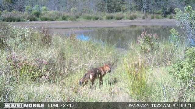 0001 S 310th Rd, Morris, OK 74437 - photo 20
