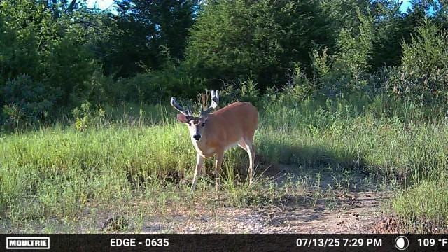 0001 S 310th Rd, Morris, OK 74437 - photo 21