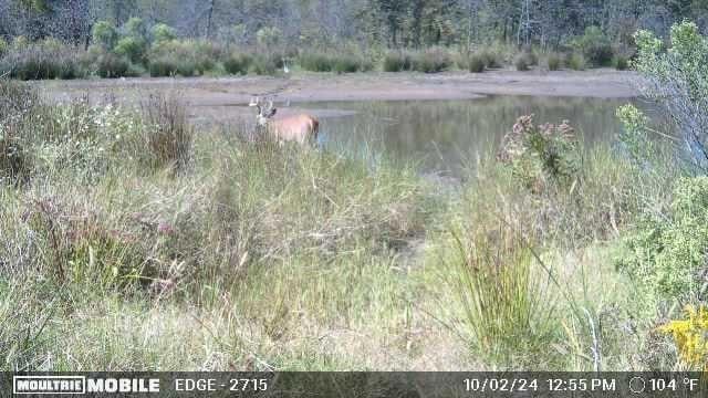 0001 S 310th Rd, Morris, OK 74437 - photo 22