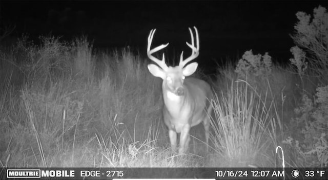 0001 S 310th Rd, Morris, OK 74437 - photo 23