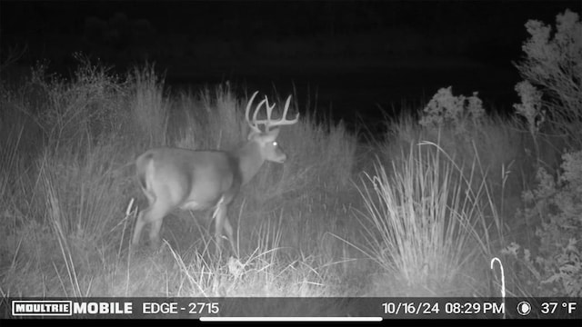 0001 S 310th Rd, Morris, OK 74437 - photo 24