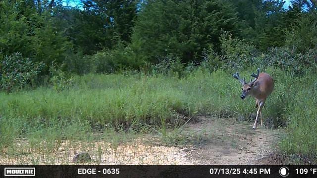 0001 S 310th Rd, Morris, OK 74437 - photo 34