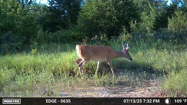 0001 S 310th Rd, Morris, OK 74437 - photo 35