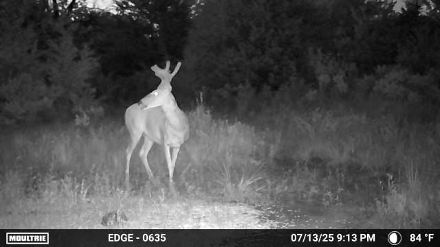 0001 S 310th Rd, Morris, OK 74437 - photo 36