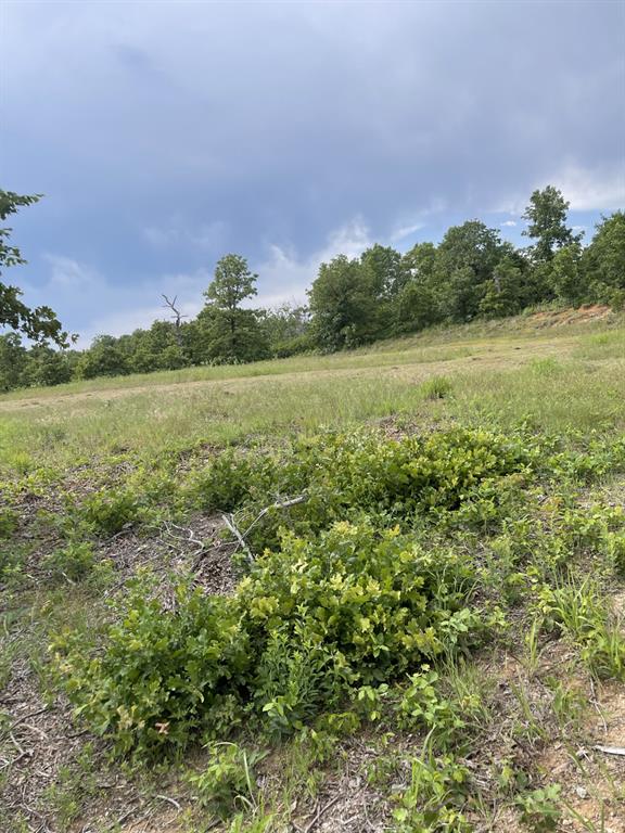 17171 Hickory Trl, Newalla, OK 74857 - photo 1
