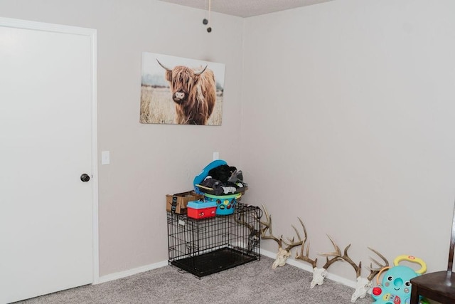 12497 N 1780th Rd, Erick, OK 73645 - photo 40