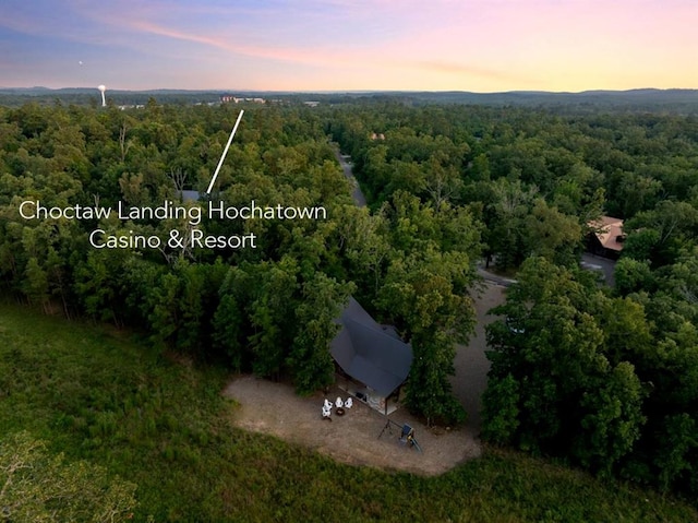 525 Bass Loop, Broken Bow, OK 74728 - photo 3