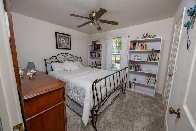 1224 NW Carrie Ln, Piedmont, OK 73078 - photo 9