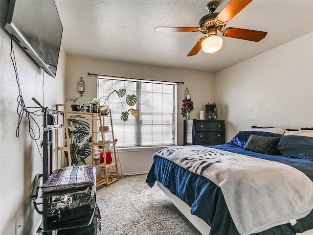 3003 River Oaks Dr Unit 120, Norman, OK 73072 - photo 11