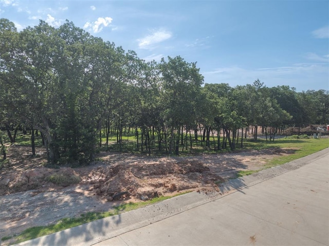 14008 Shoreline Blvd, Oklahoma City, OK 73013 - photo 3