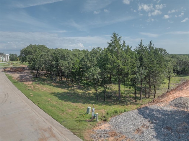 14008 Shoreline Blvd, Oklahoma City, OK 73013 - photo 5