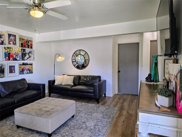 1447 Homeland Ave, Norman, OK 73072 - photo 5