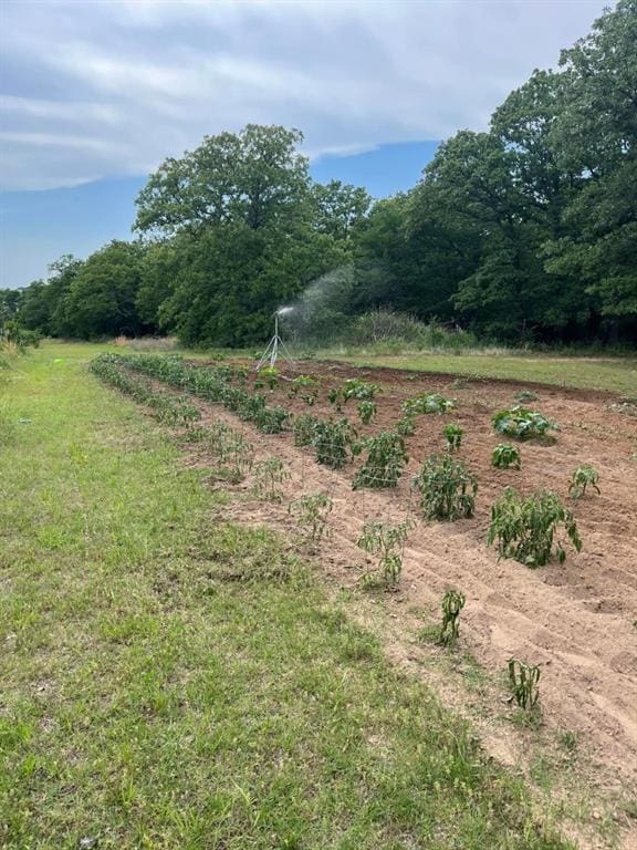6335 Watson Rd, Sulphur, OK 73086 - photo 31