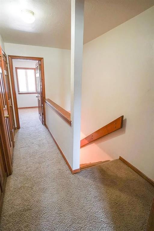 3212 Meadow Ave Unit 12, Norman, OK 73072 - photo 5