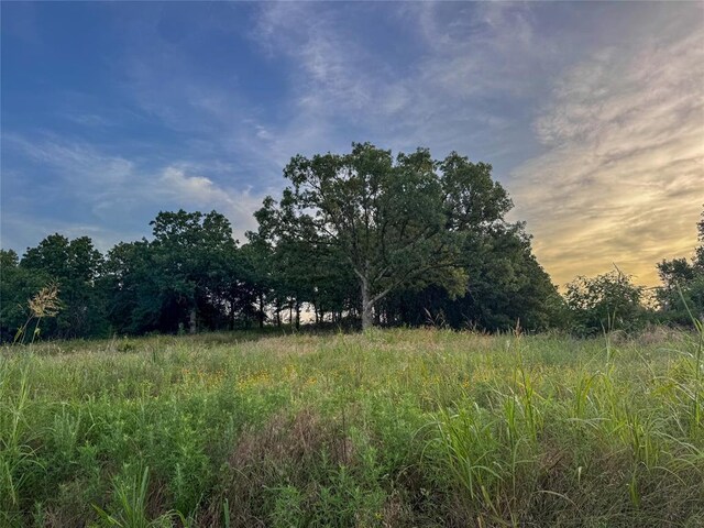 19505 NE 206th St, Luther, OK 73054 - photo 25