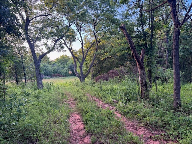 19505 NE 206th St, Luther, OK 73054 - photo 26