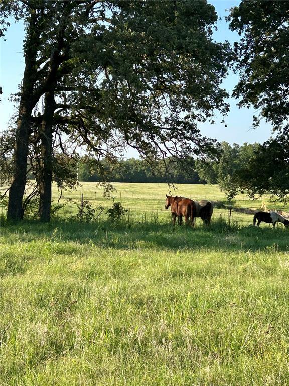 110009 N 3740th Rd, Okemah, OK 74859 - photo 8