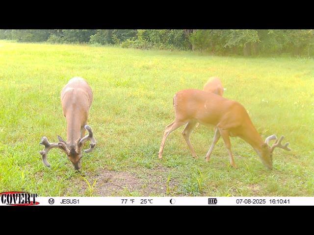 110009 N 3740th Rd, Okemah, OK 74859 - photo 13