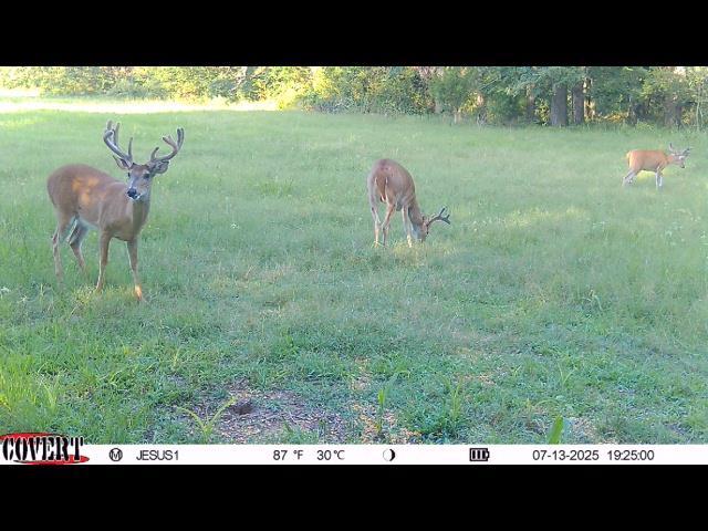 110009 N 3740th Rd, Okemah, OK 74859 - photo 28