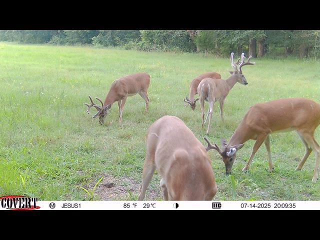110009 N 3740th Rd, Okemah, OK 74859 - photo 30