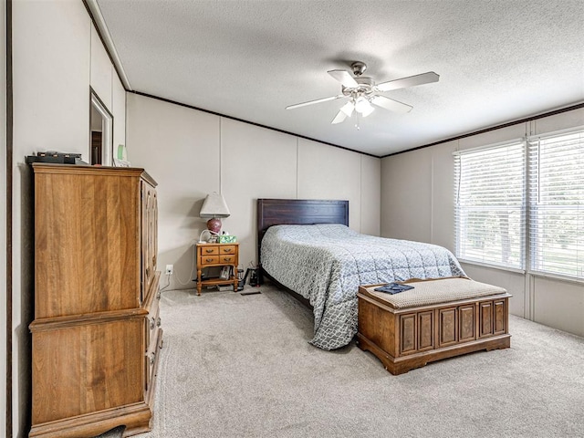901 Red Rock Rd, Norman, OK 73026 - photo 34