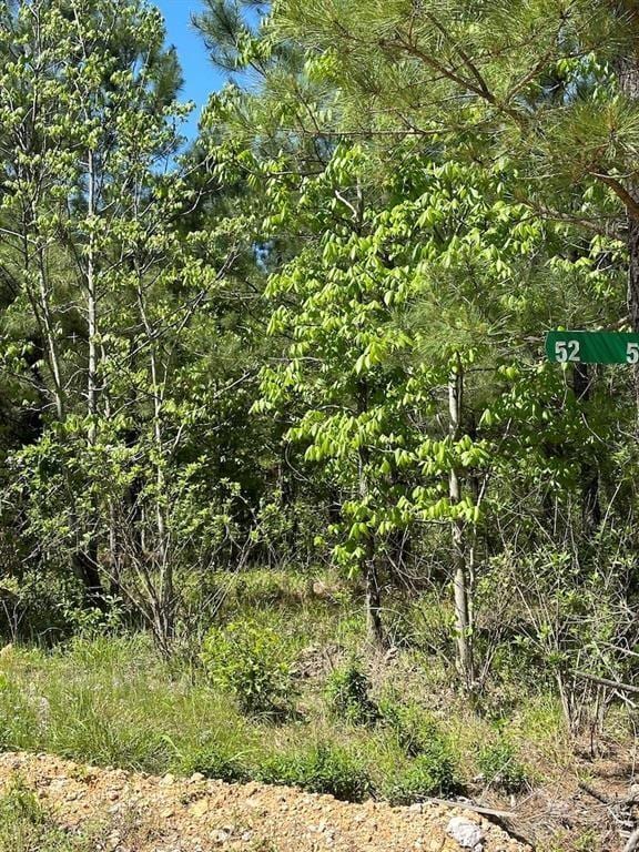 135 Crooked Stick Trl, Broken Bow, OK 74728 - photo 2