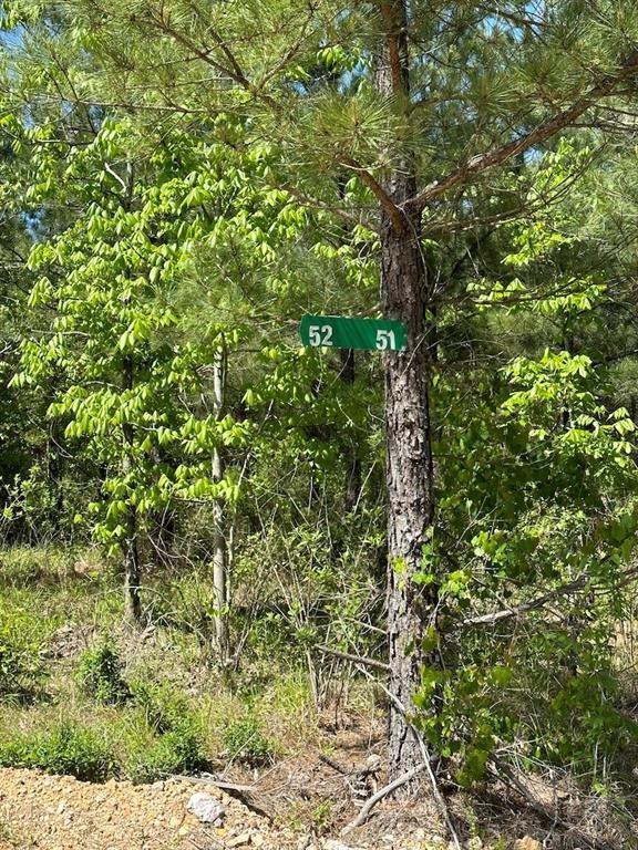 135 Crooked Stick Trl, Broken Bow, OK 74728 - photo 3
