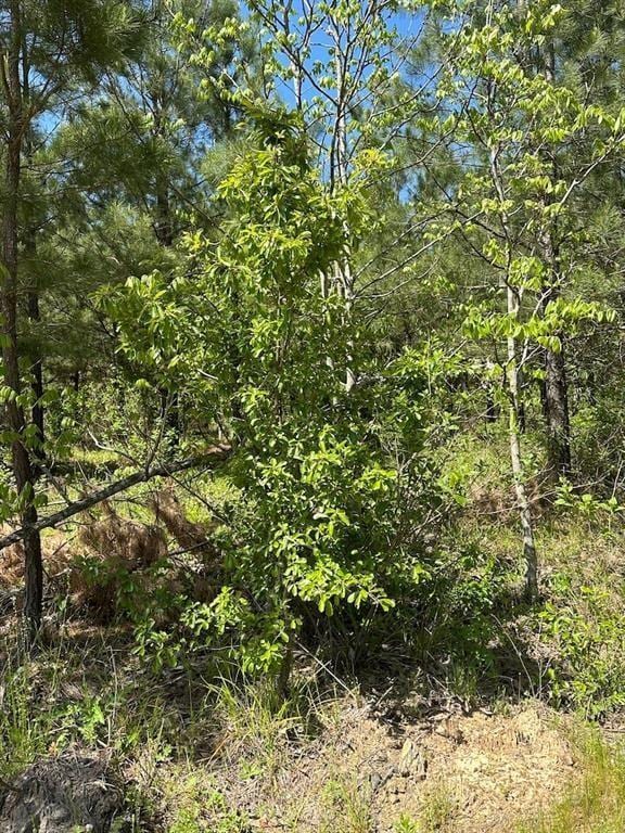 135 Crooked Stick Trl, Broken Bow, OK 74728 - photo 5