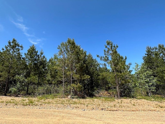 135 Crooked Stick Trl, Broken Bow, OK 74728 - photo 6