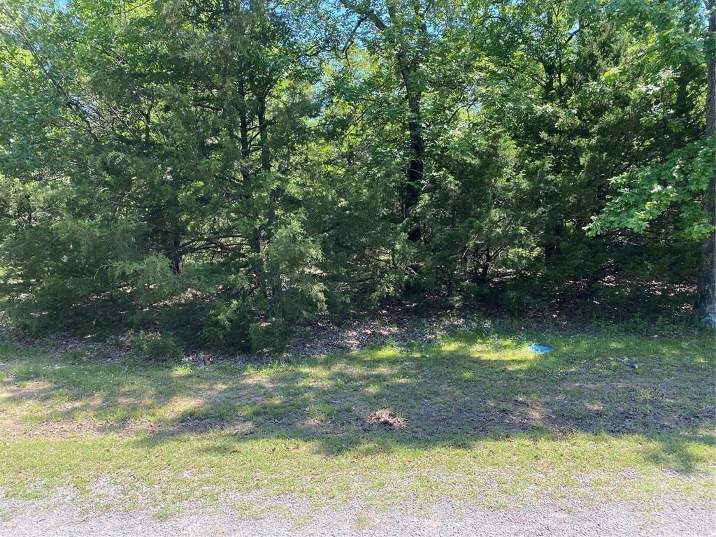 20 Durango St, Canadian, OK 74425 - photo 1